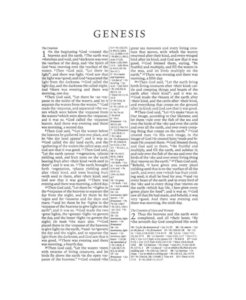NASB Cambridge Pitt Minion Reference Bible Black Goatskin Leather