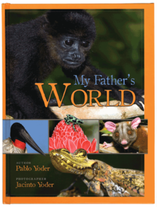 My Father's World - Pablo Yoder