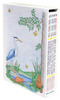 Draw Write Now Boxed Set
